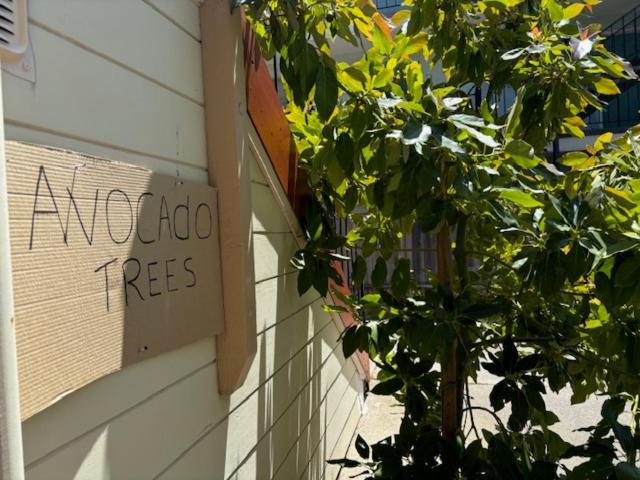 Alameda 3Br Unique Victorian Penthouse With Deck And Outdoor Furniture, Ac, 3 Blocks To Beach & Shopping Center & 2 Free Parking Spaces מראה חיצוני תמונה